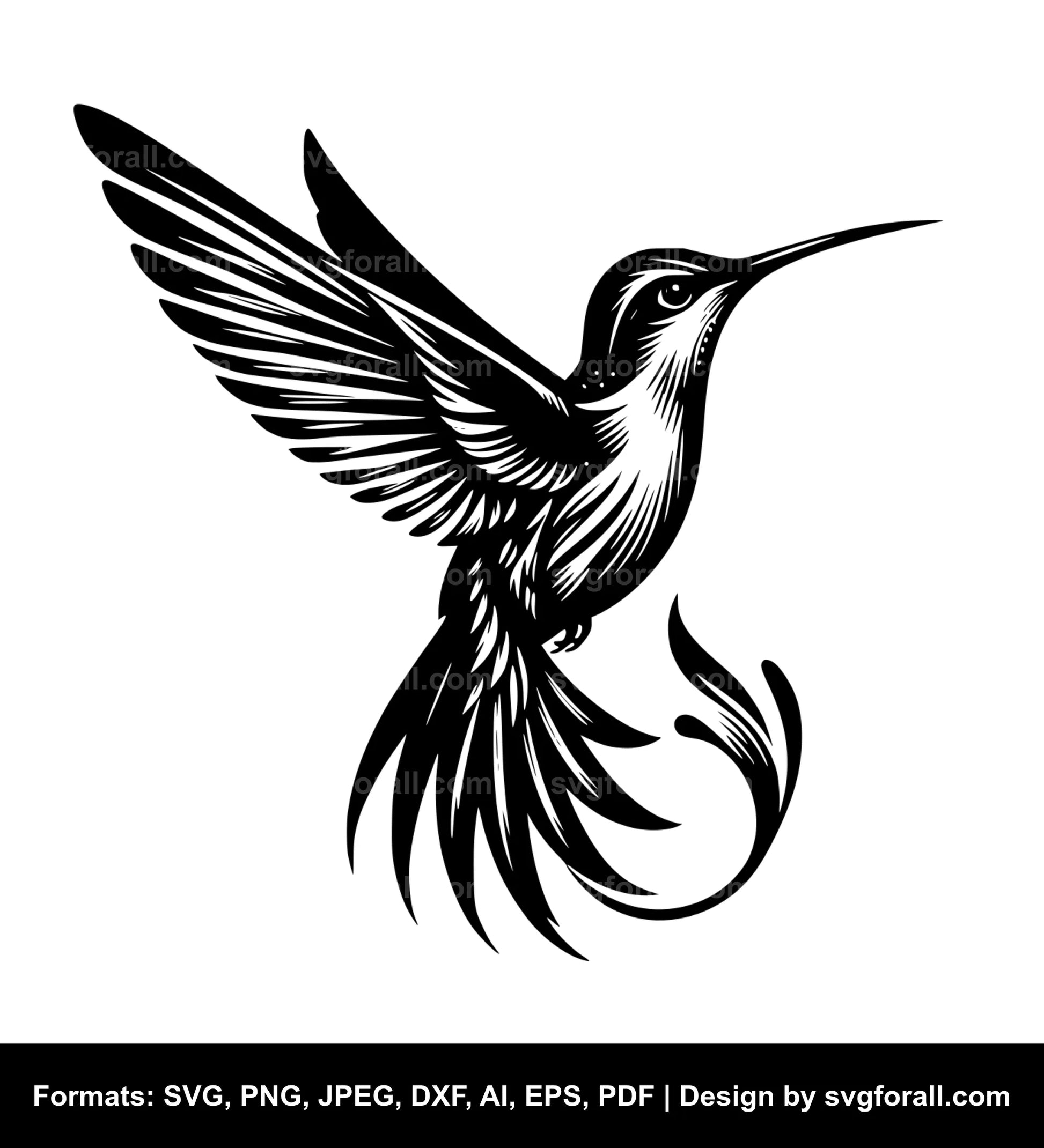 Hummingbird SVG Vector