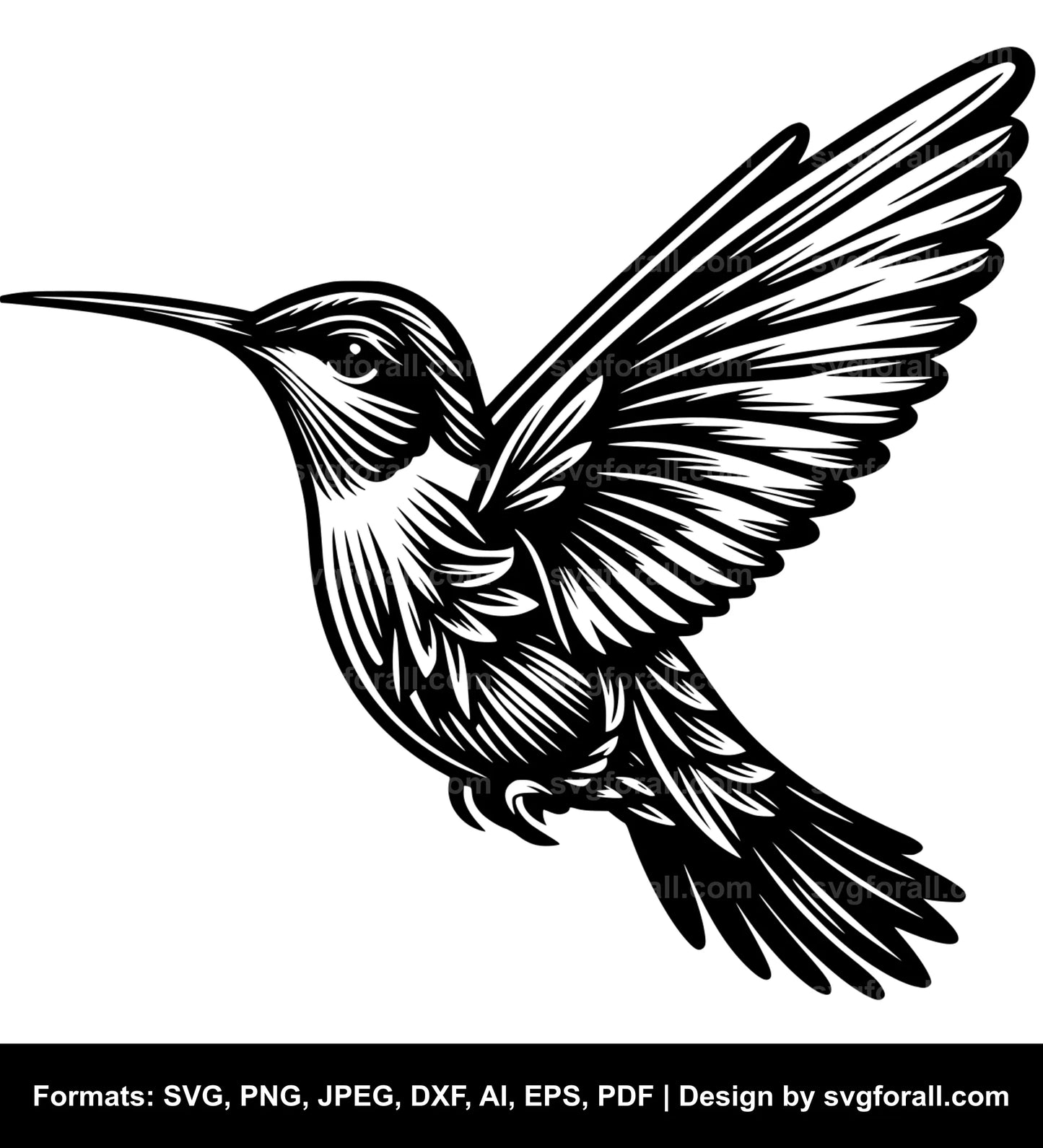 Hummingbird Vector SVG