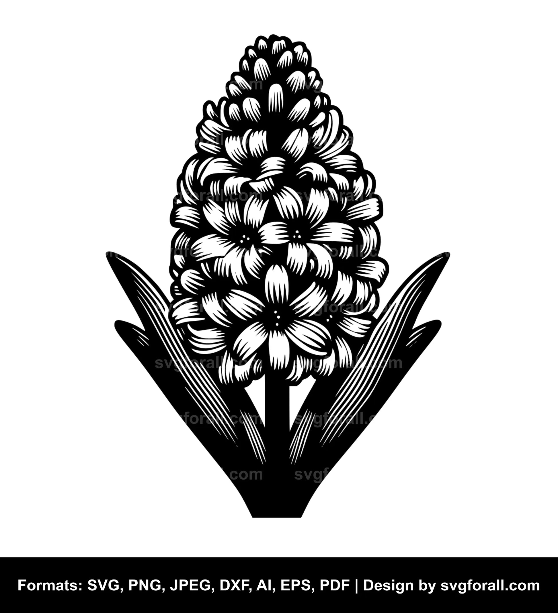 Hyacinth Flower SVG