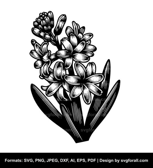 Hyacinth Flower SVG Clipart