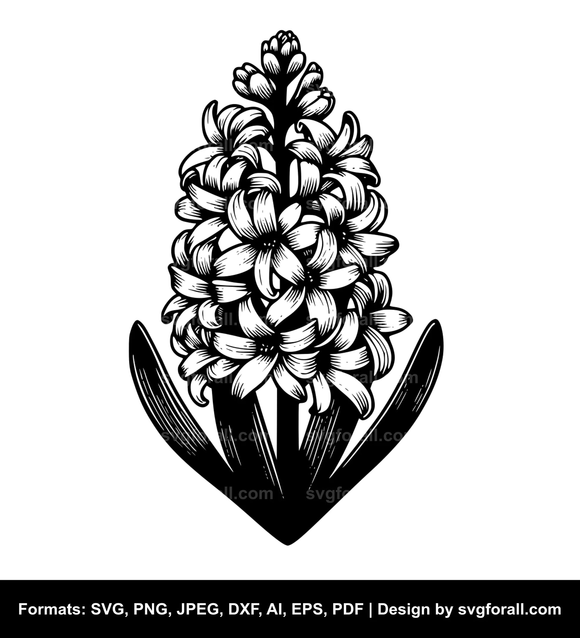 Hyacinth Flower SVG Download