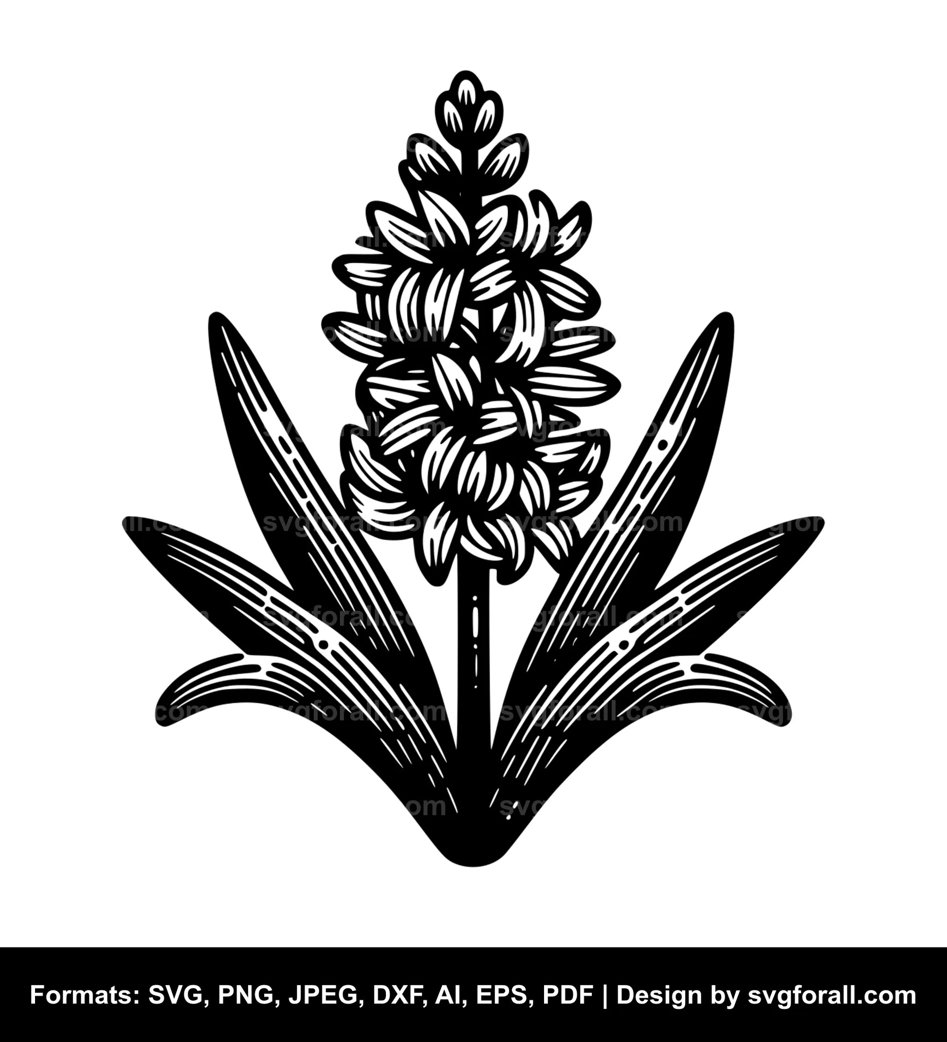 Hyacinth Flower SVG PNG