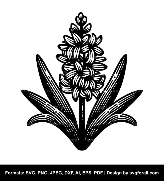 Hyacinth Flower SVG PNG