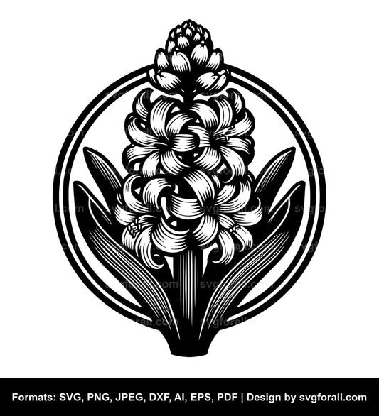 Hyacinth Flower SVG Vector