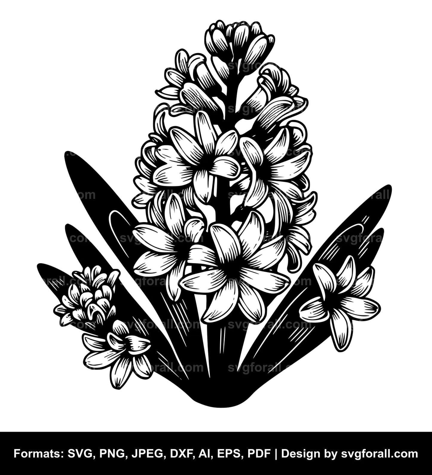 Hyacinth Flower Vector SVG