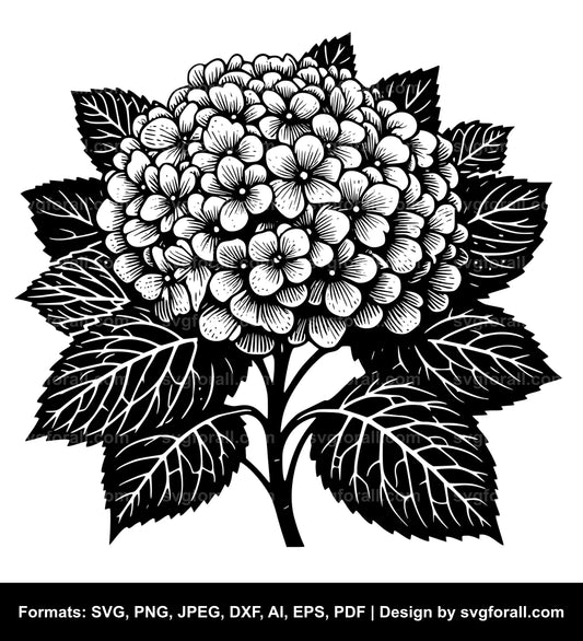 Hydrangea Flower Black SVG