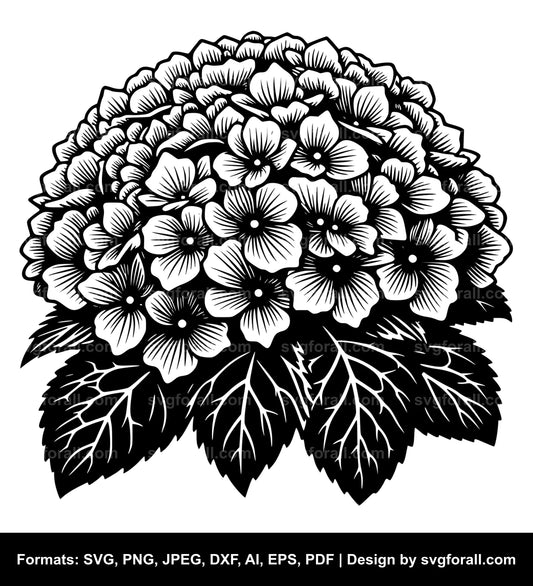 Hydrangea Flower Clipart SVG