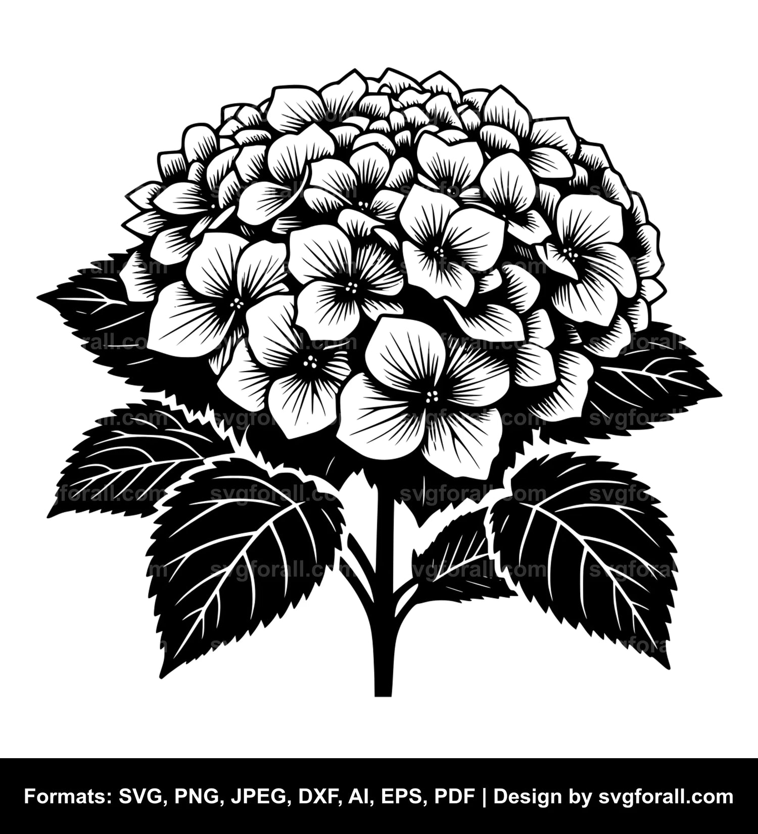 Hydrangea Flower SVG Clipart