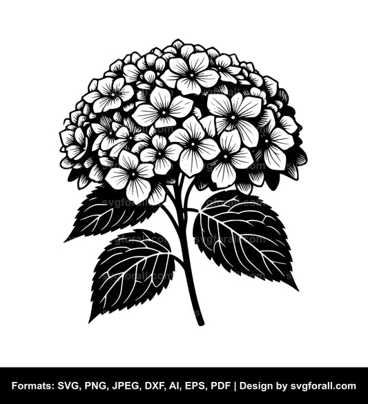 Hydrangea Flower SVG File