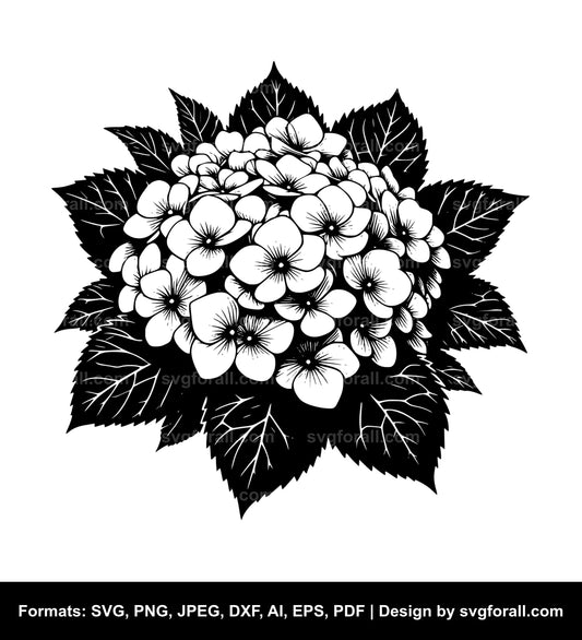 Hydrangea Flower SVG PNG