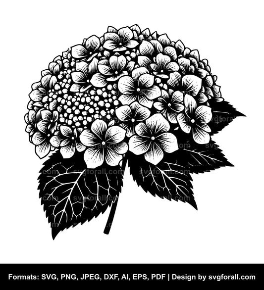 Hydrangea Flower Vector SVG