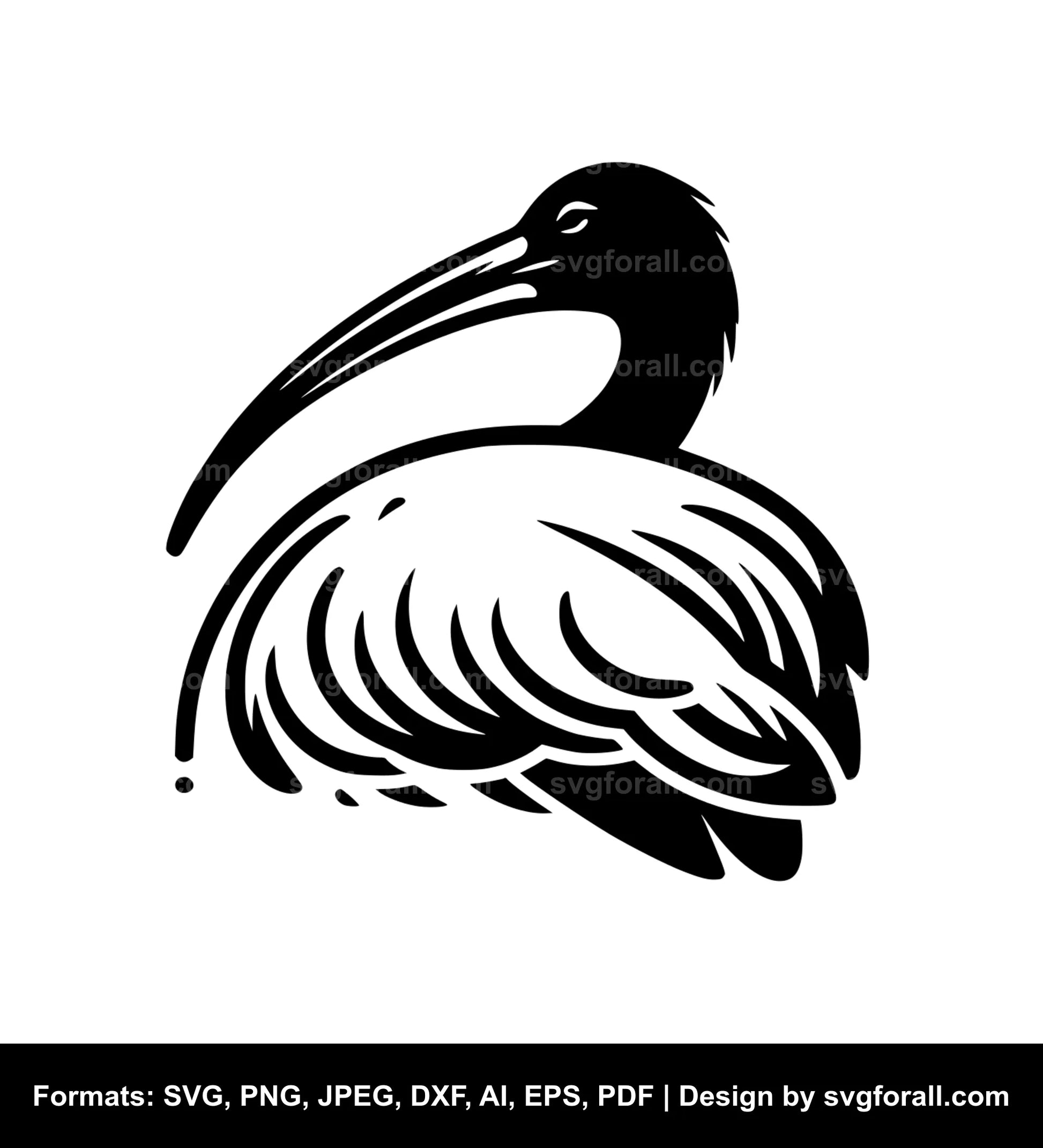 Ibis Bird SVG File