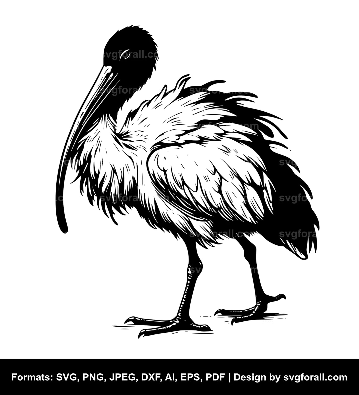 Ibis Bird SVG Vector