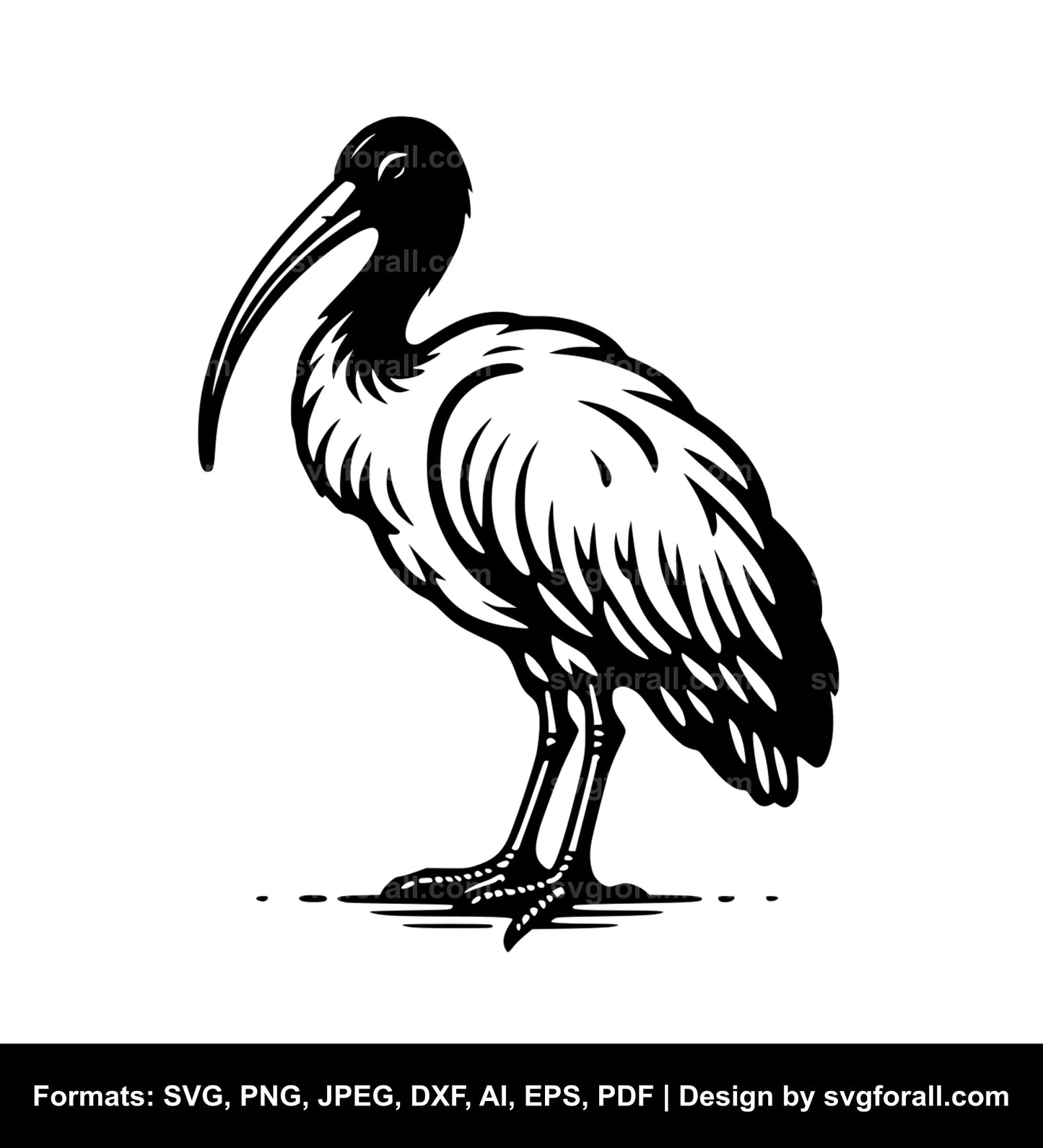 Ibis Bird Vector SVG