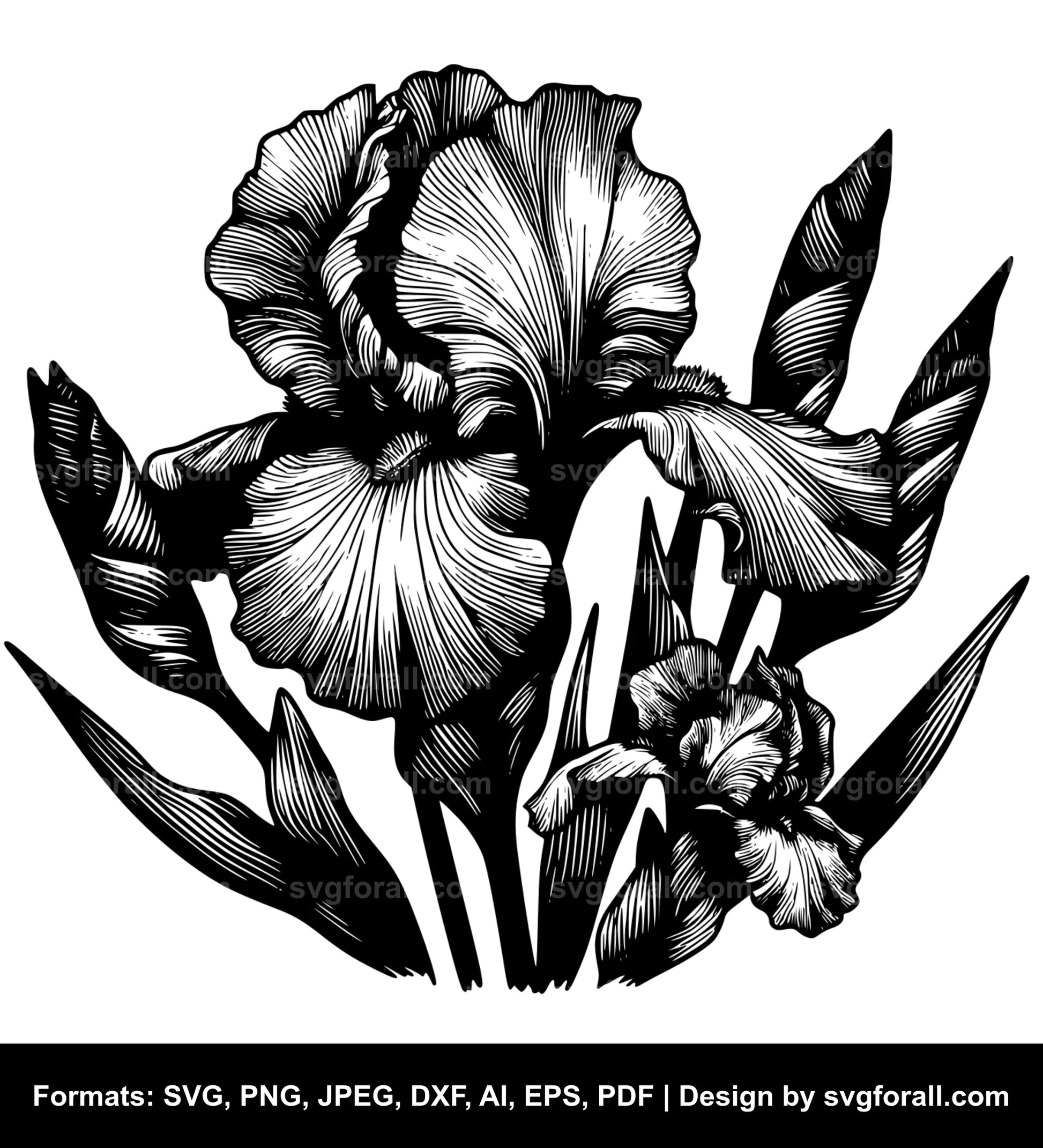 Iris Flower Black SVG