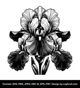 Iris Flower SVG