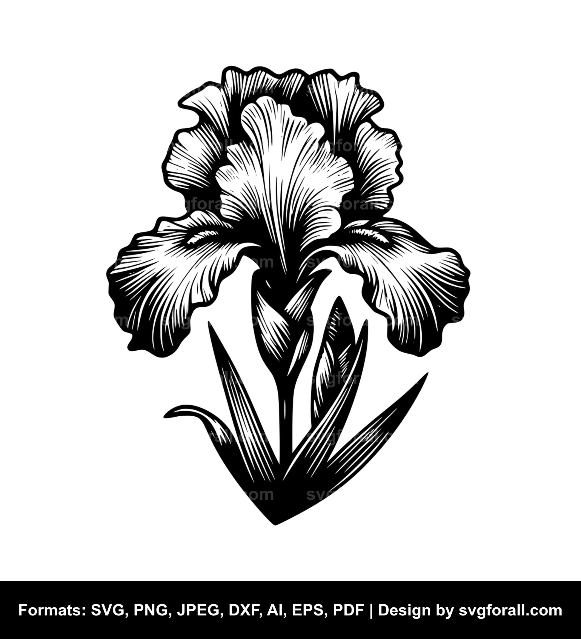 Iris Flower SVG File