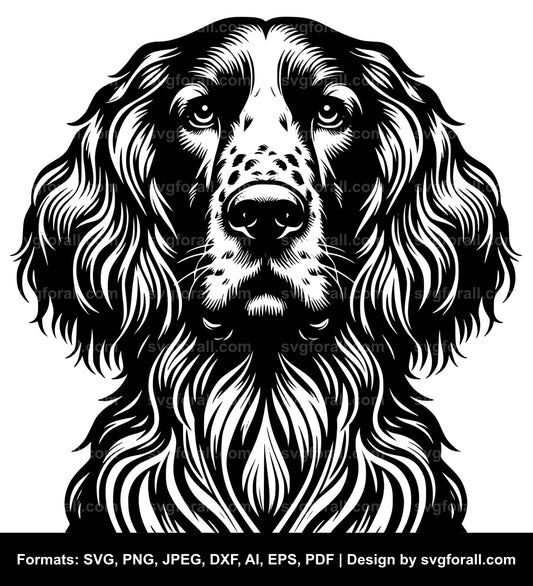 Irish Setter Dog SVG Vector