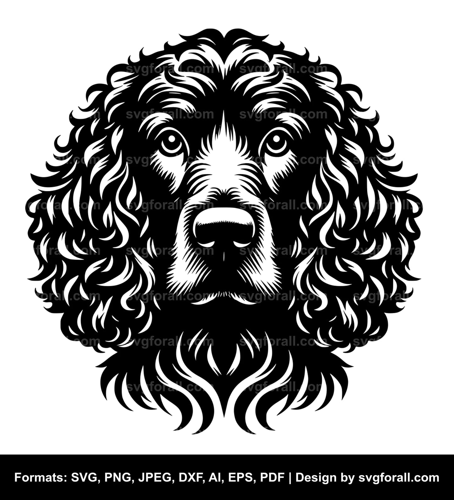 Irish Water Spaniel Dog SVG