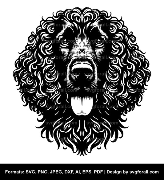 Irish Water Spaniel Dog SVG PNG