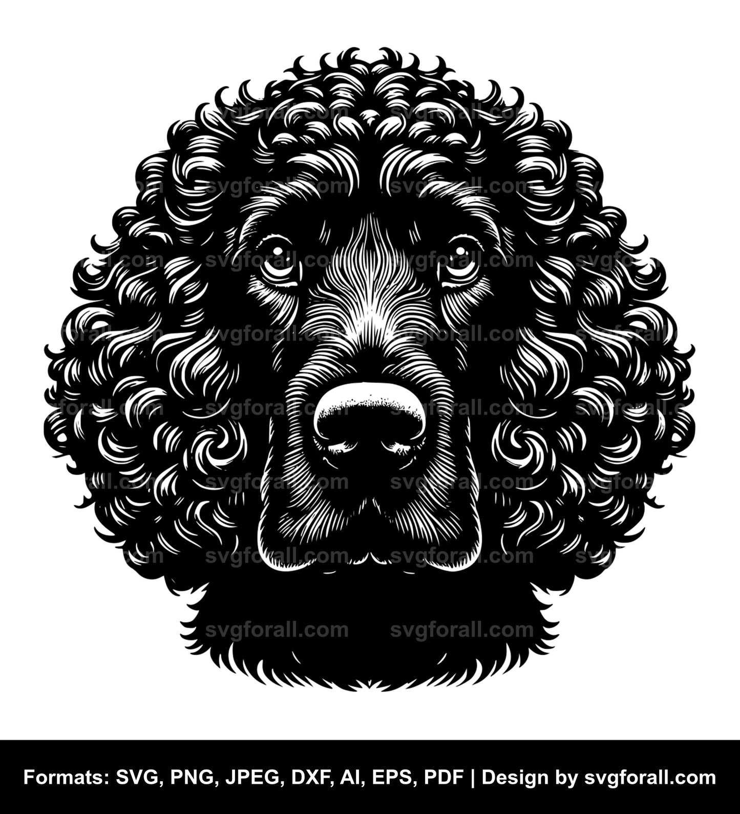 Irish Water Spaniel Dog Vector SVG