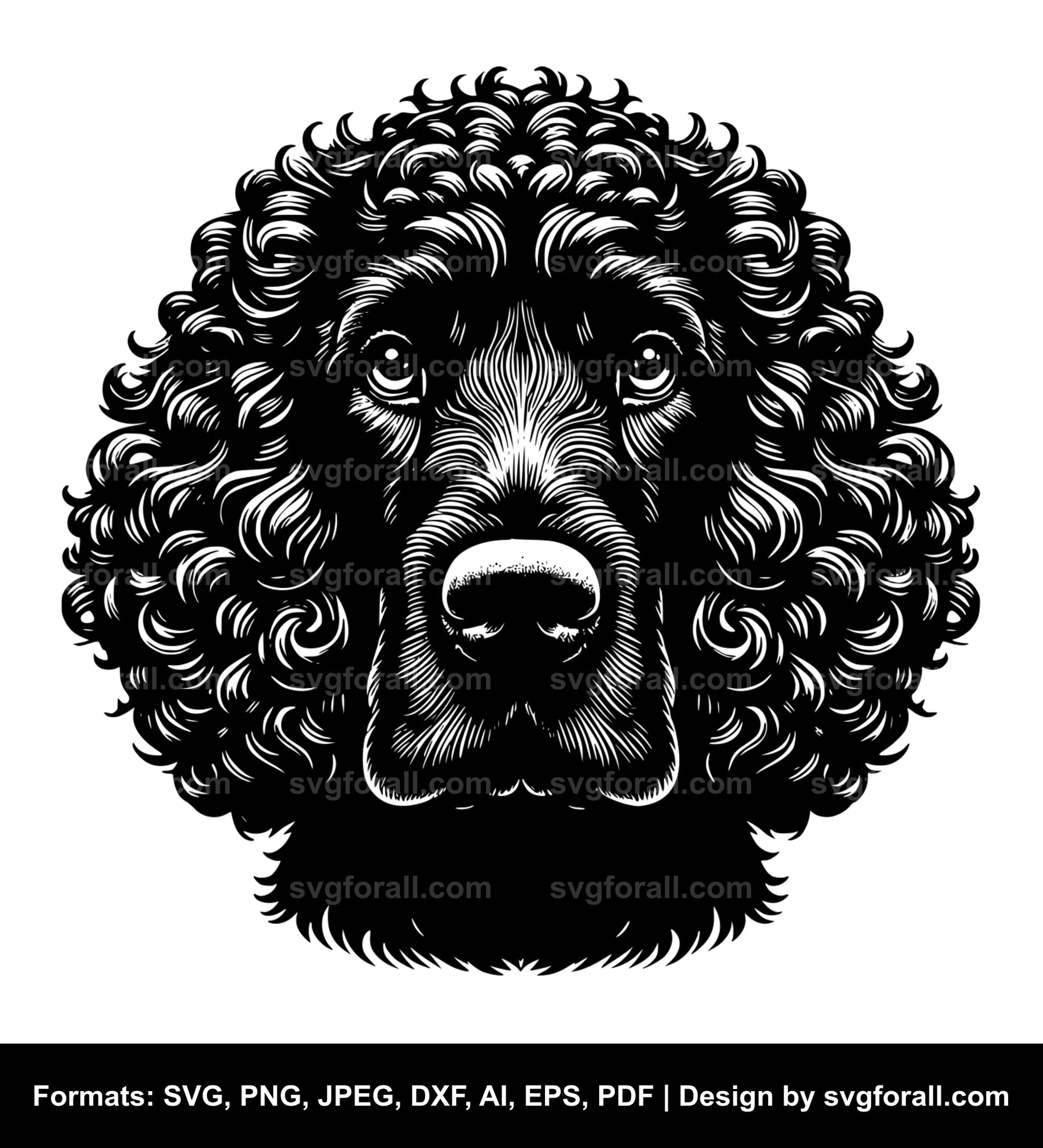 Irish Water Spaniel Dog Vector SVG