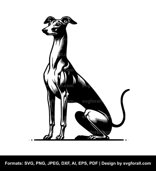 Italian Greyhound Dog SVG