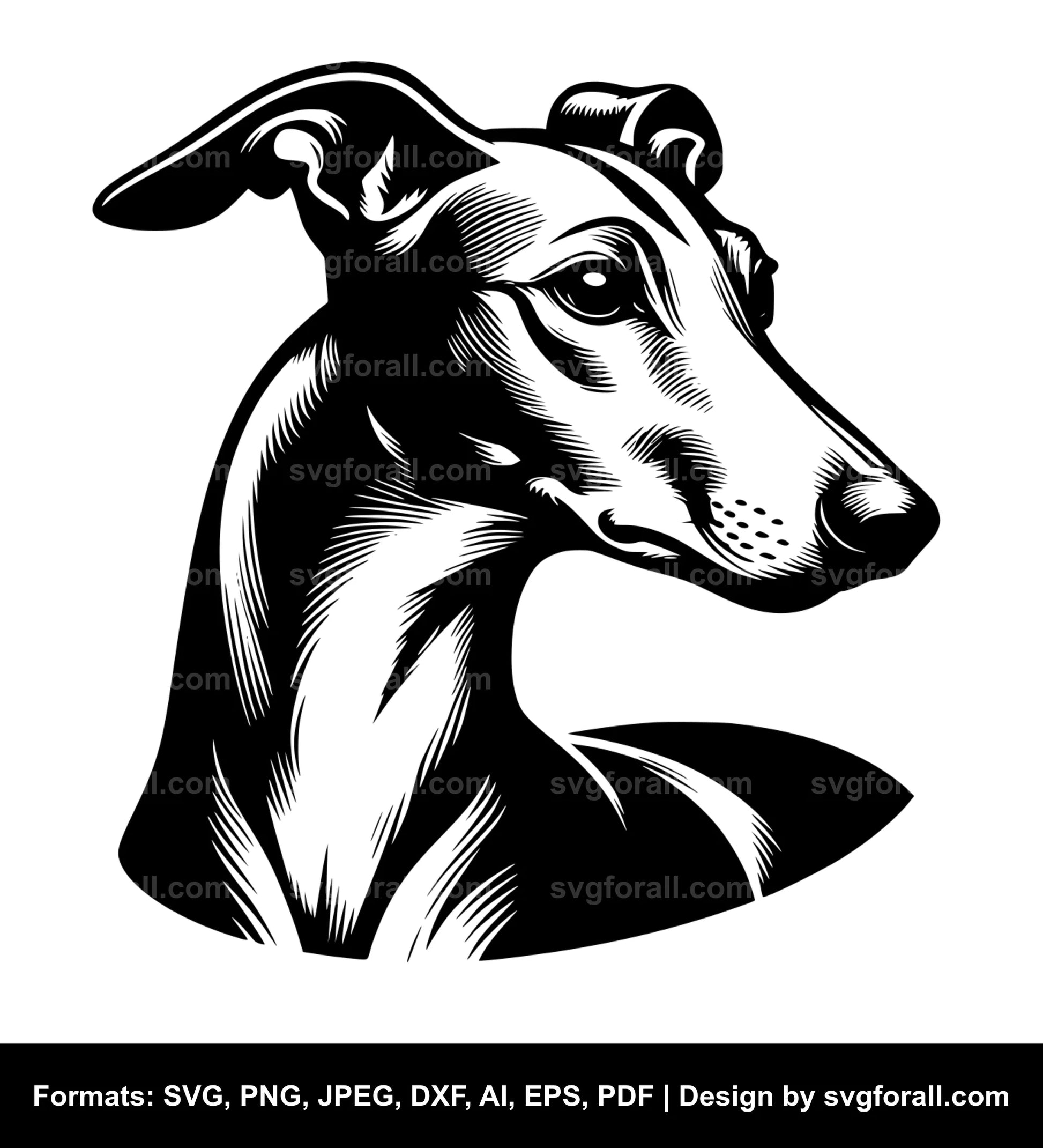 Italian Greyhound Dog SVG PNG