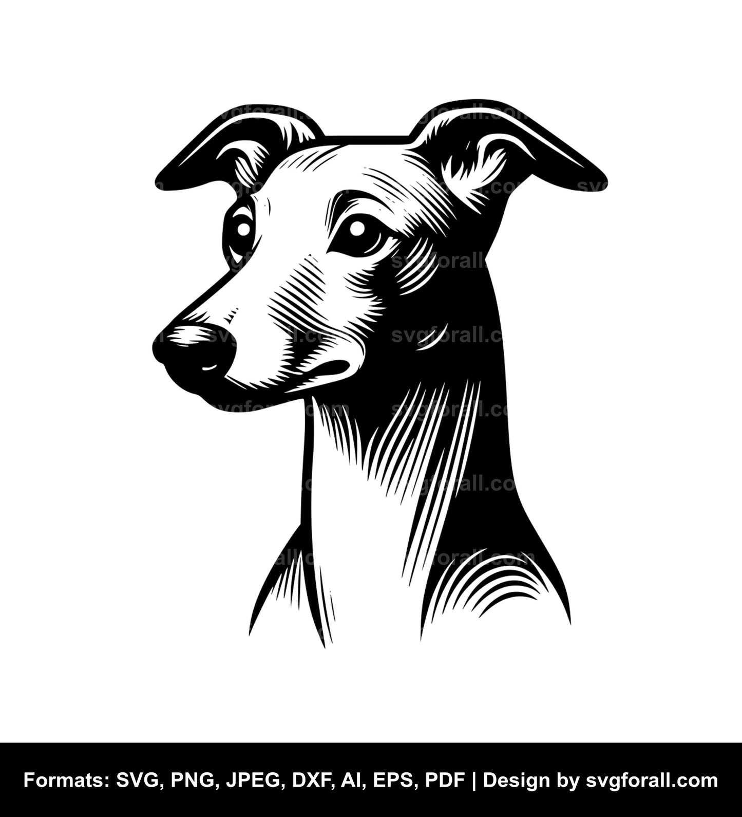 Italian Greyhound Dog SVG Vector