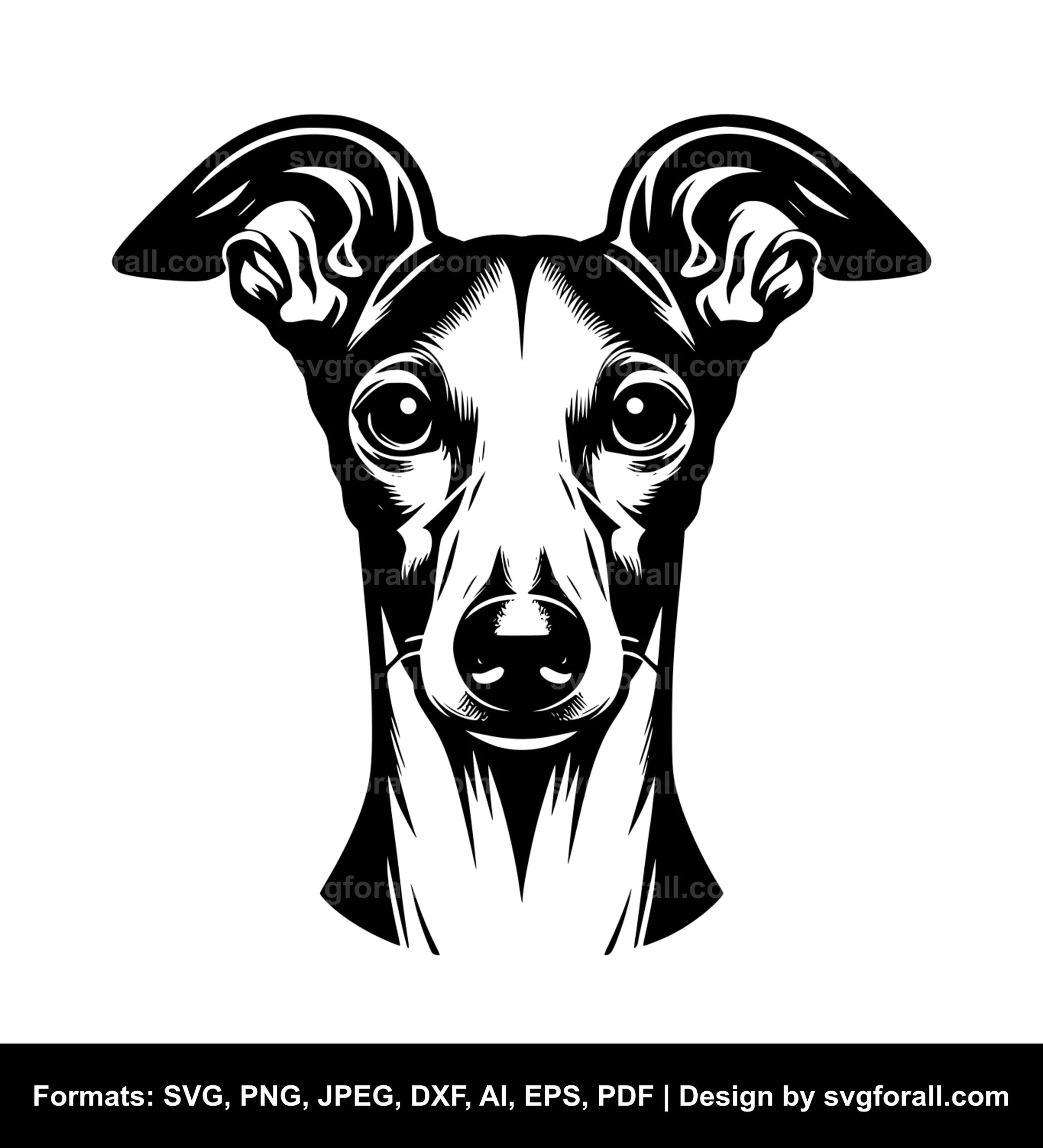 Italian Greyhound Dog Vector SVG