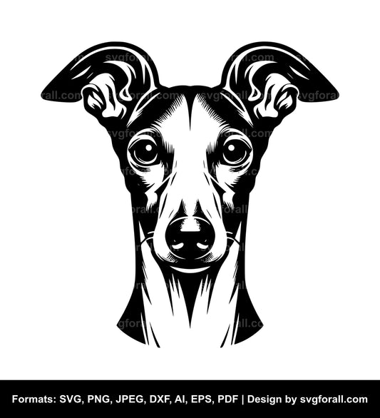 Italian Greyhound Dog Vector SVG