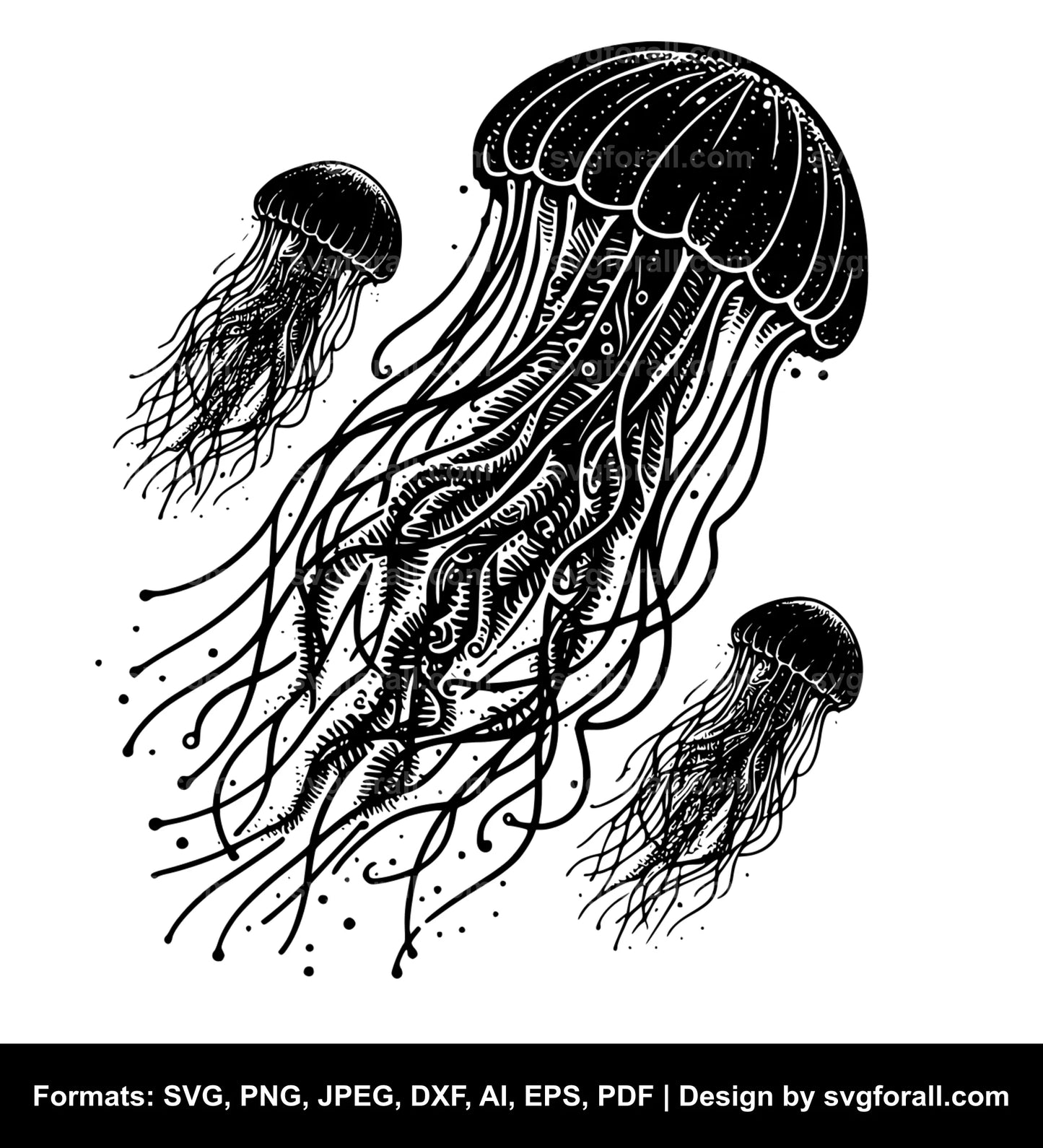 Jellyfish SVG Clip Art