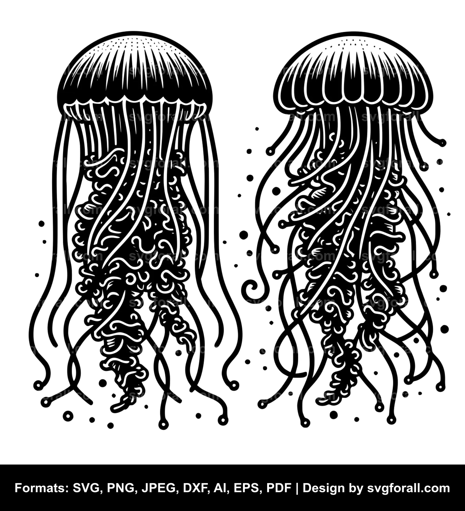 Jellyfish SVG Design