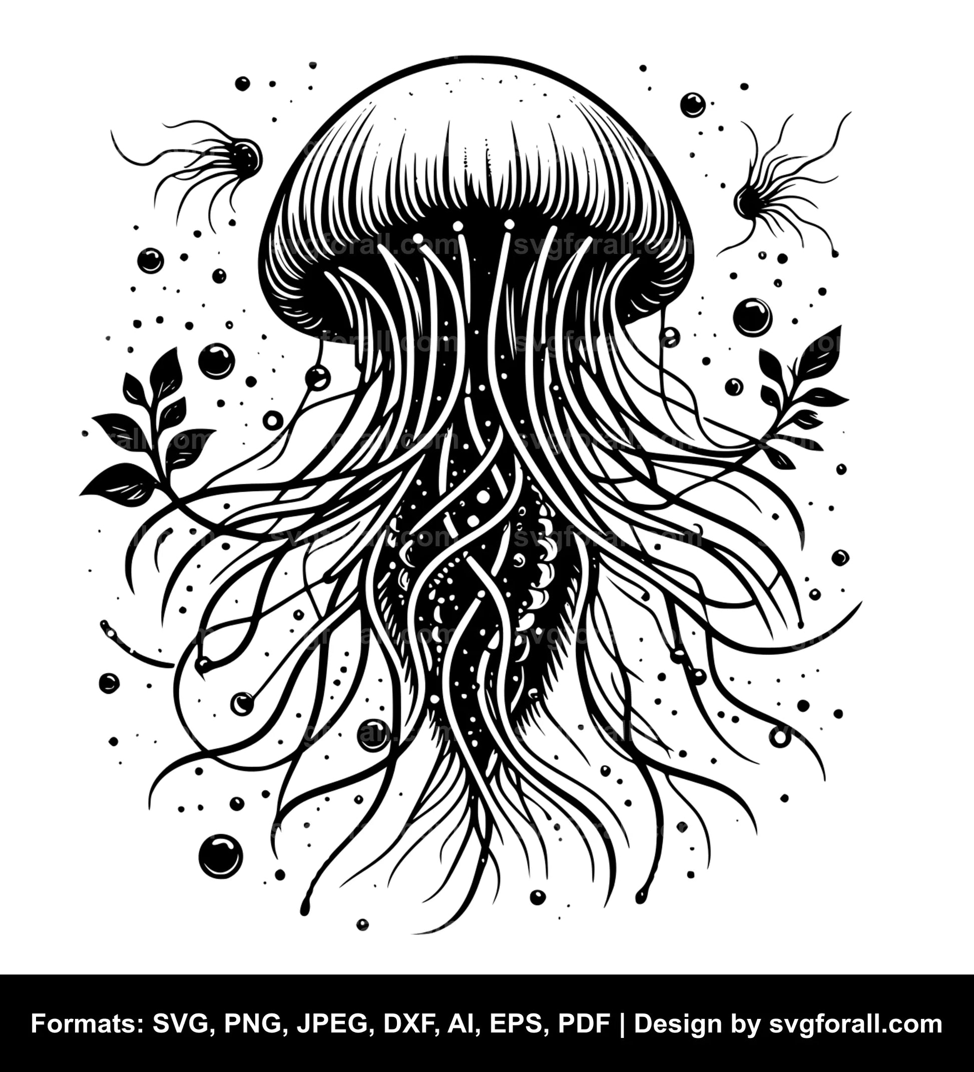 Jellyfish SVG PNG