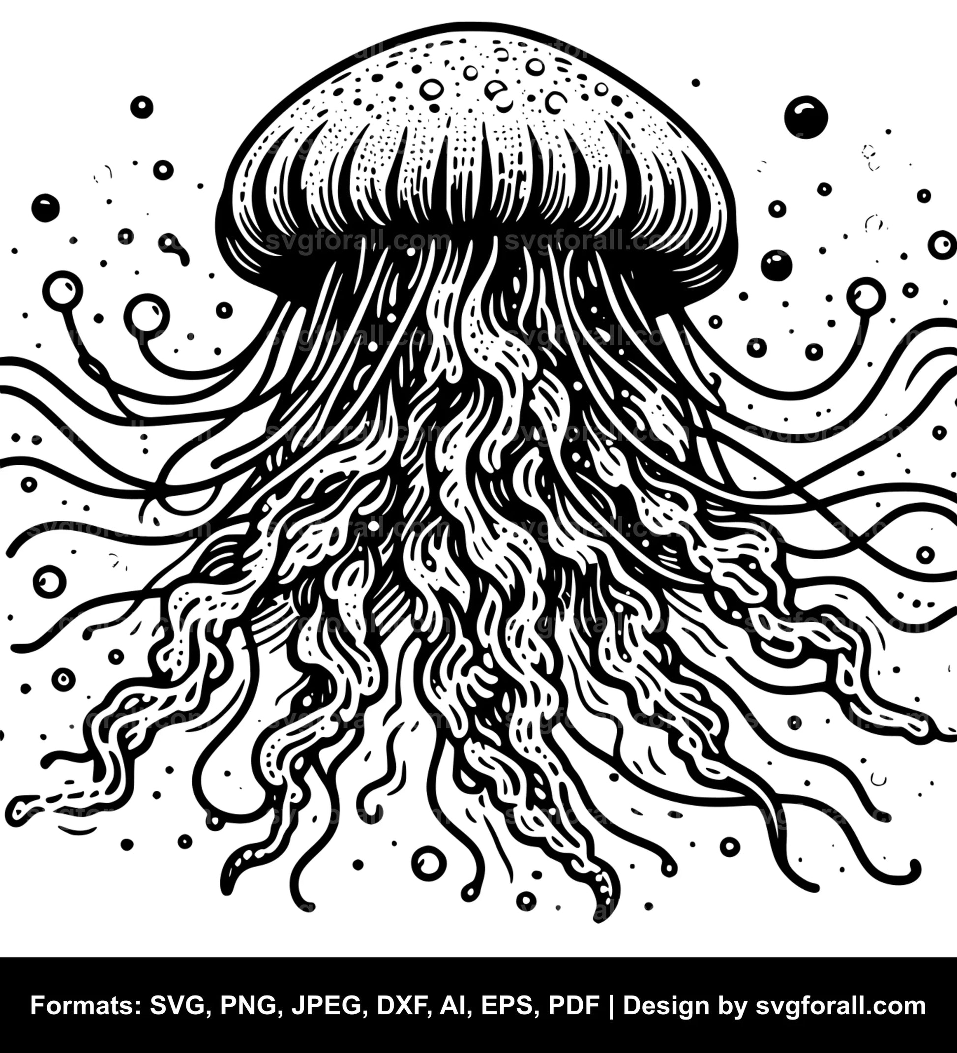 Jellyfish SVG PNG Image