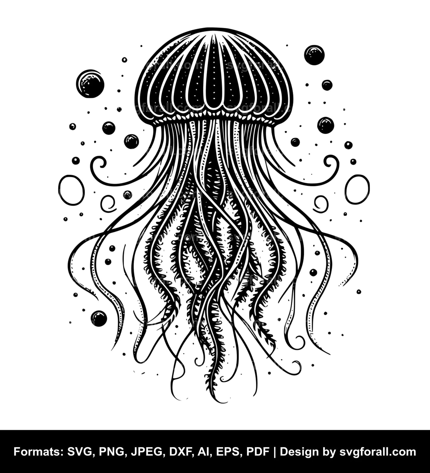 Jellyfish SVG Vector