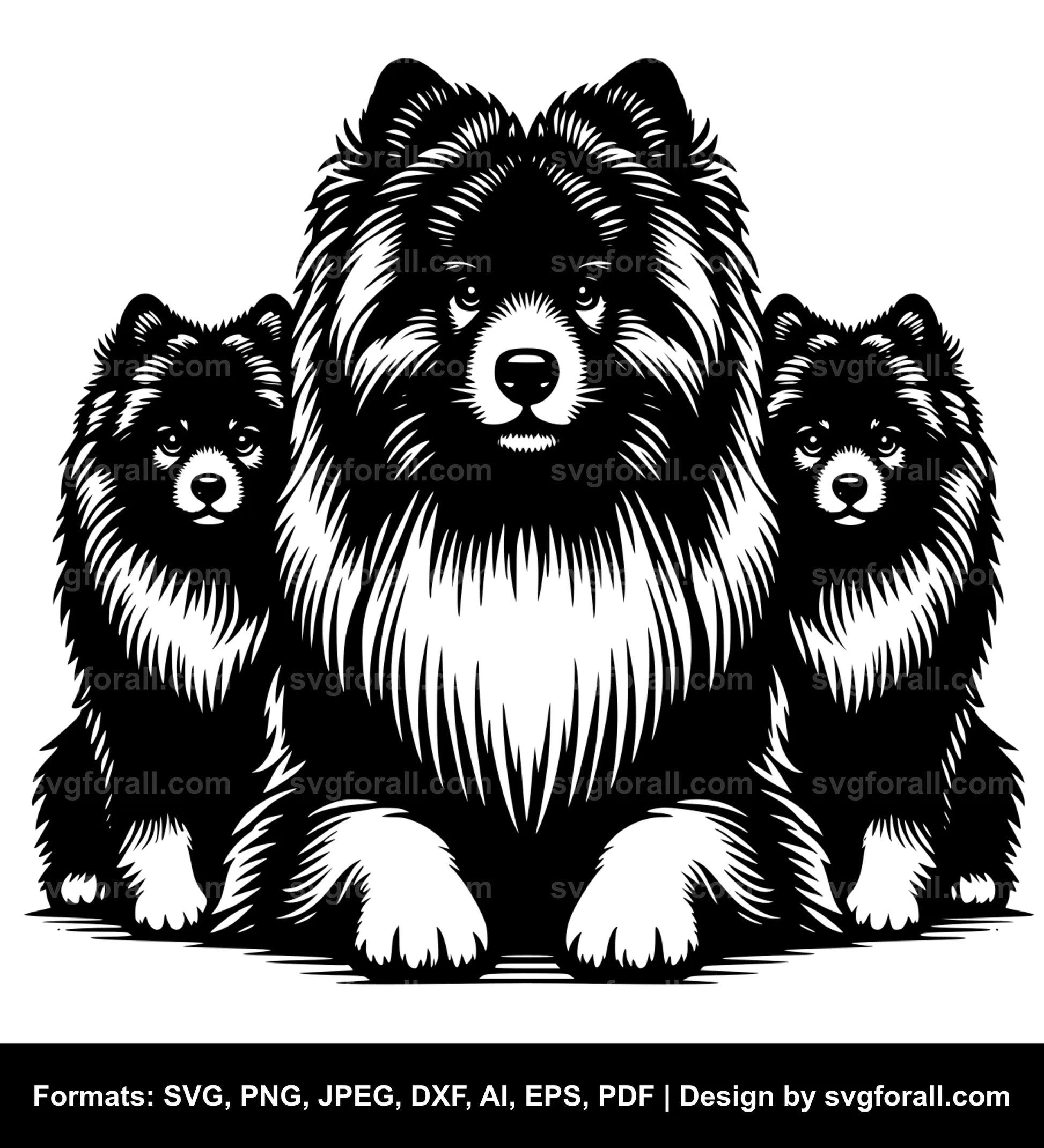 Keeshond Dog SVG Vector