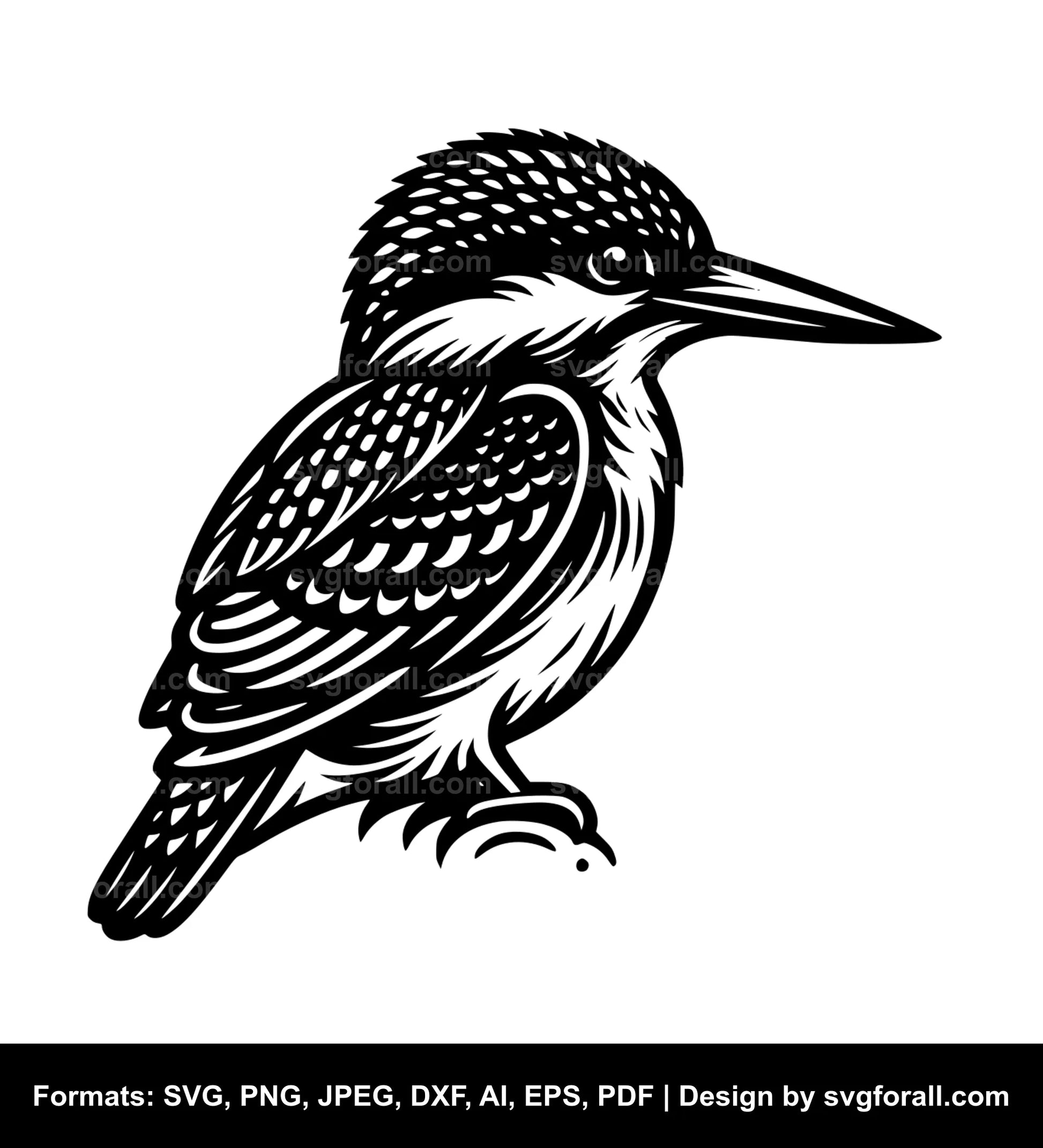 Kingfisher SVG Vector