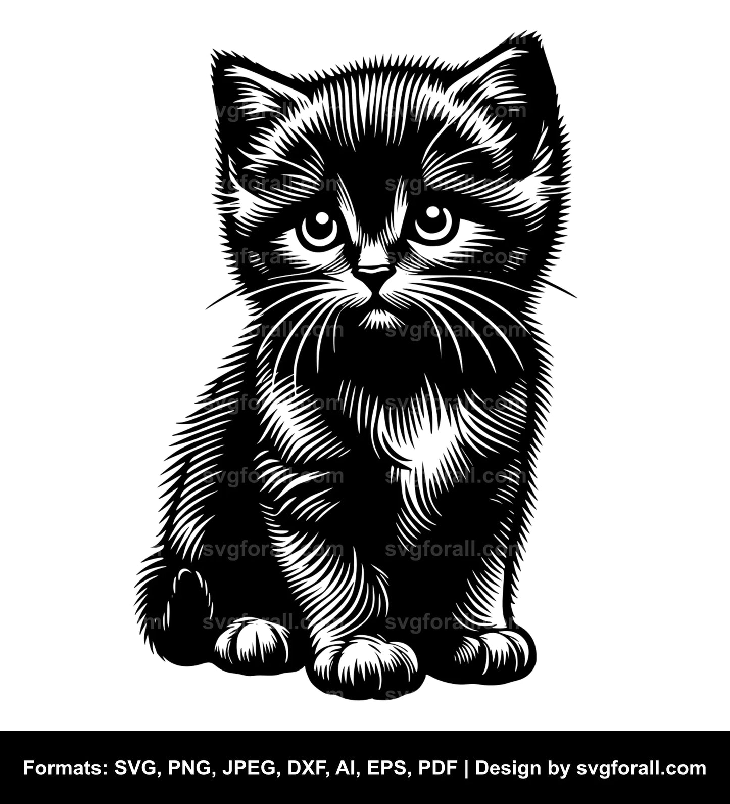 Kitten Black SVG