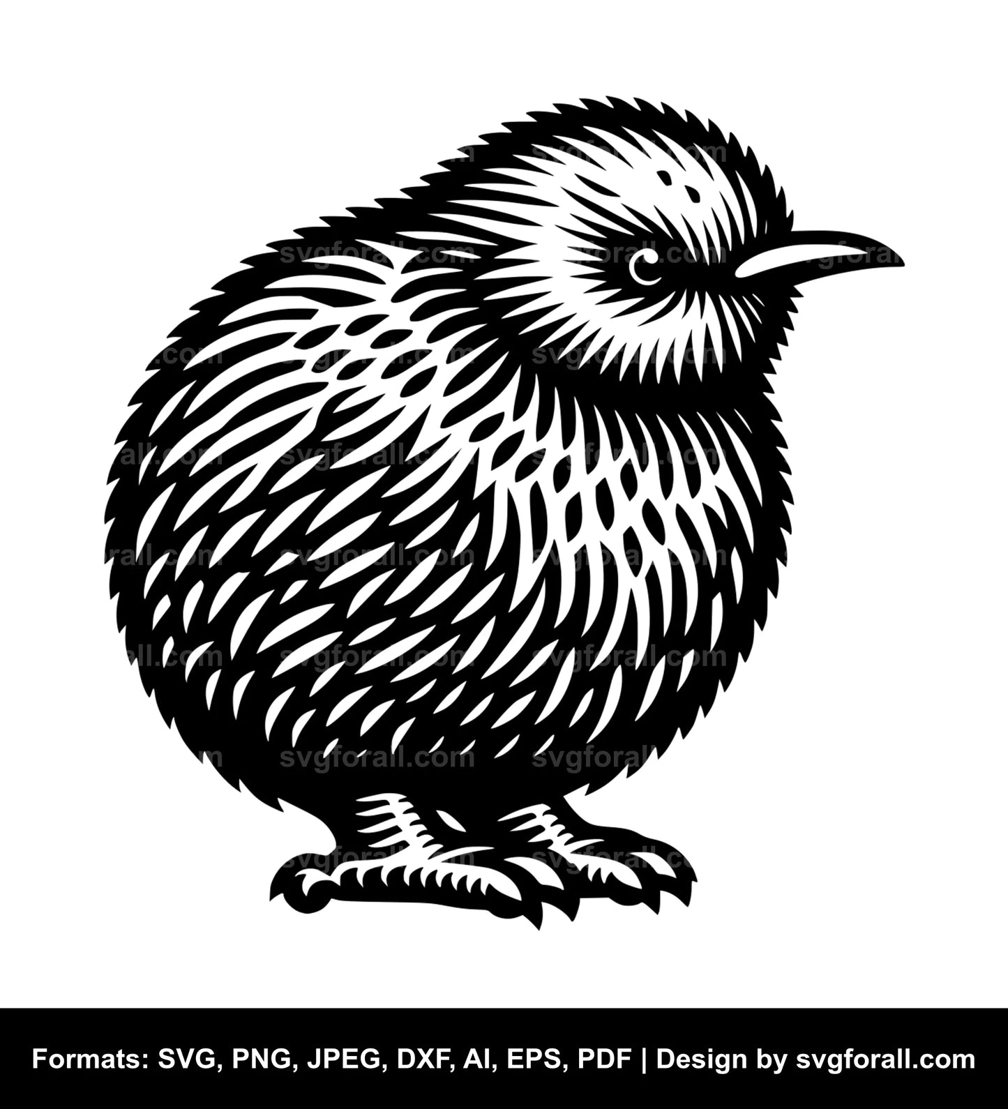 Kiwi Bird SVG Design