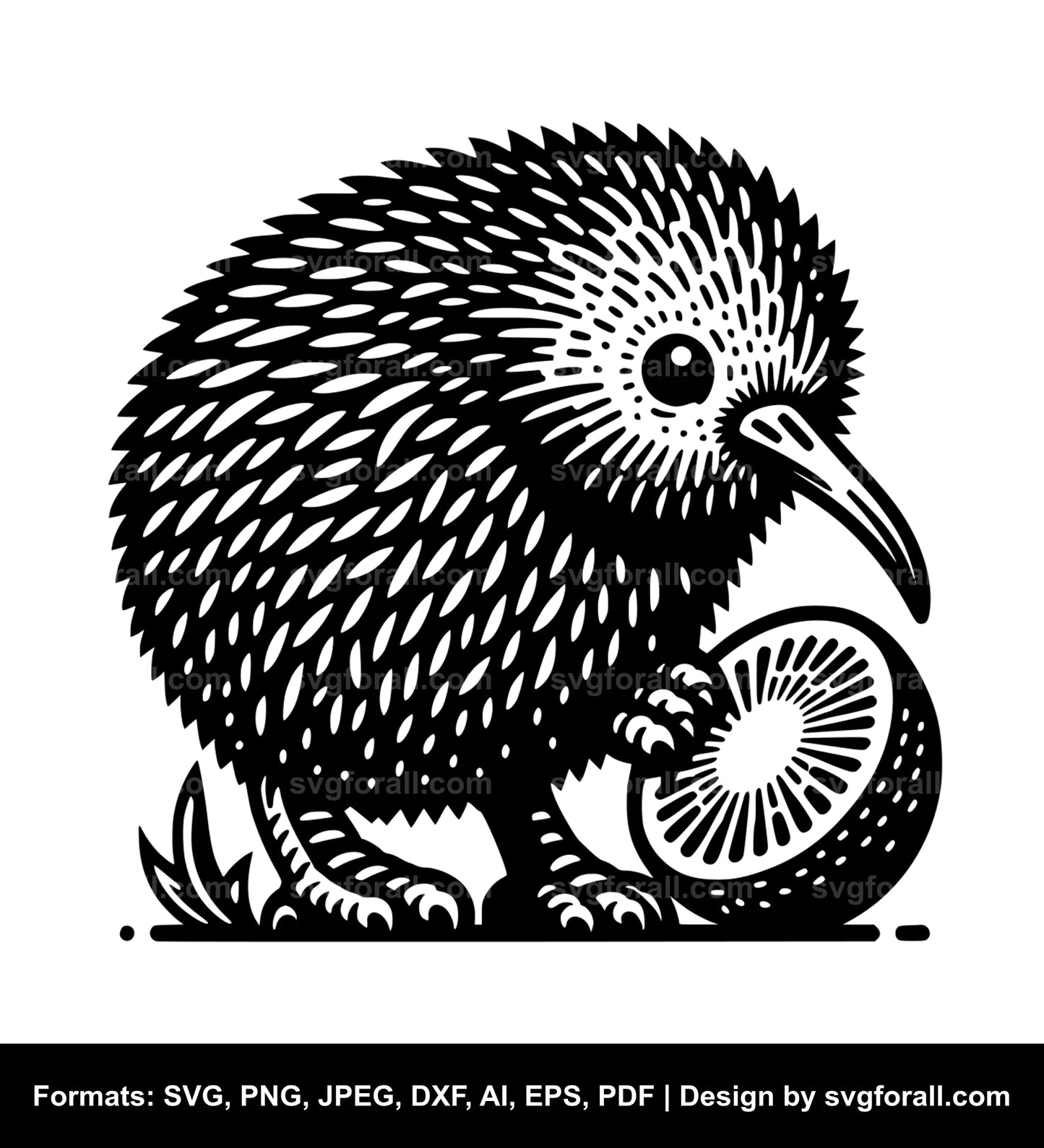 Kiwi Bird SVG PNG