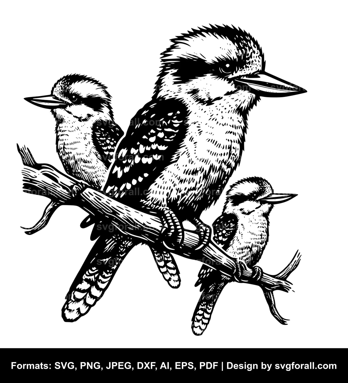 Kookaburra Black SVG