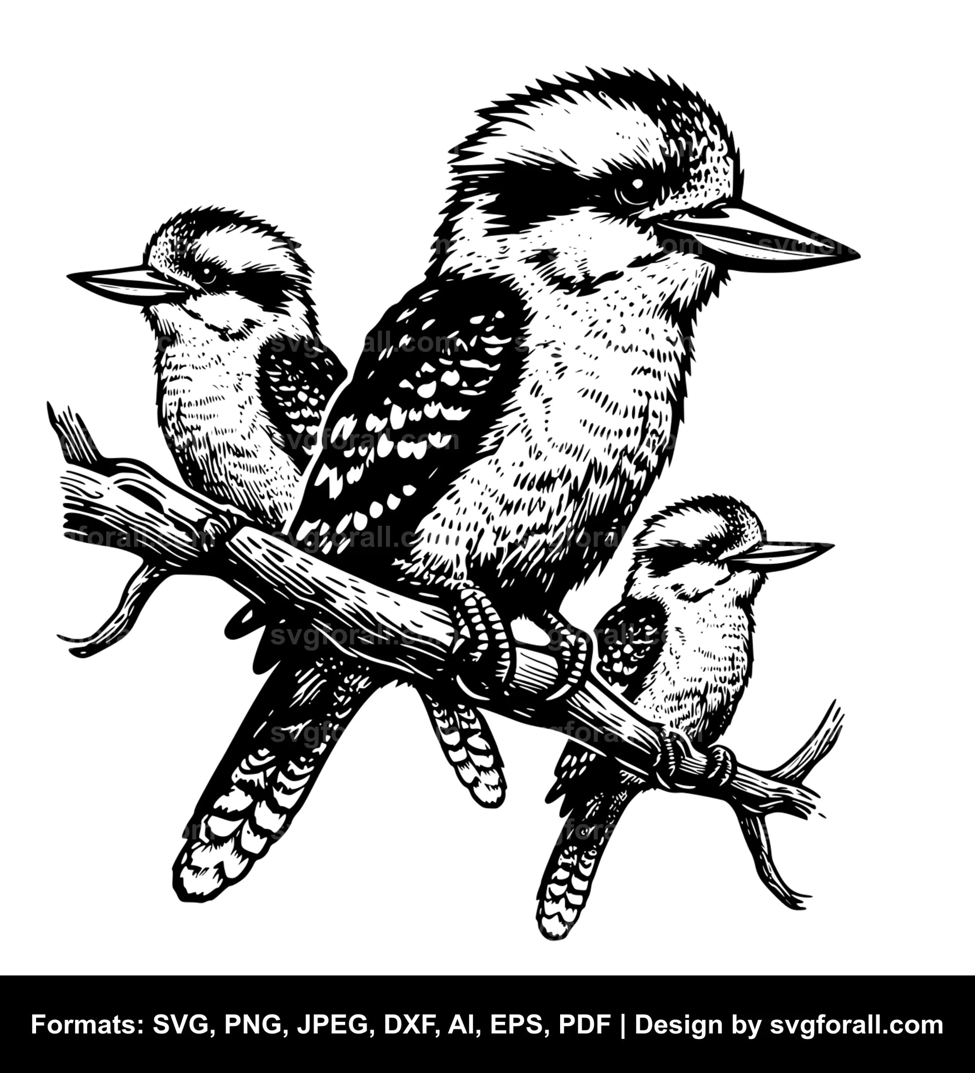 Kookaburra Black SVG