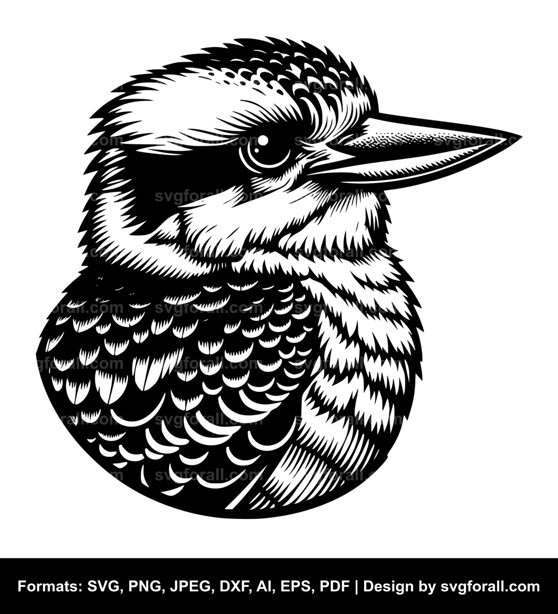 Kookaburra Cricut SVG