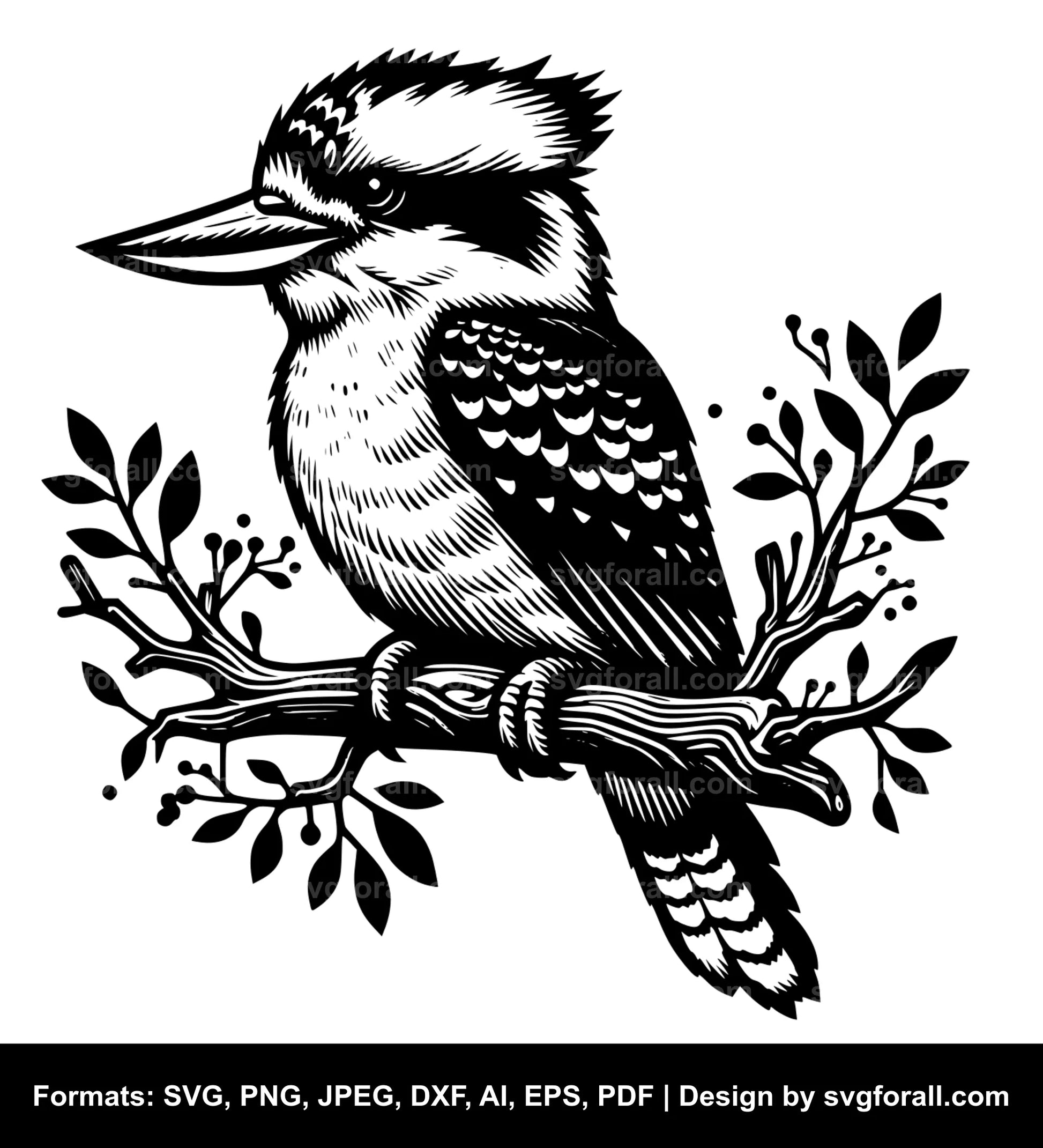 Kookaburra SVG