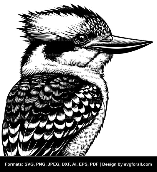 Kookaburra SVG Design