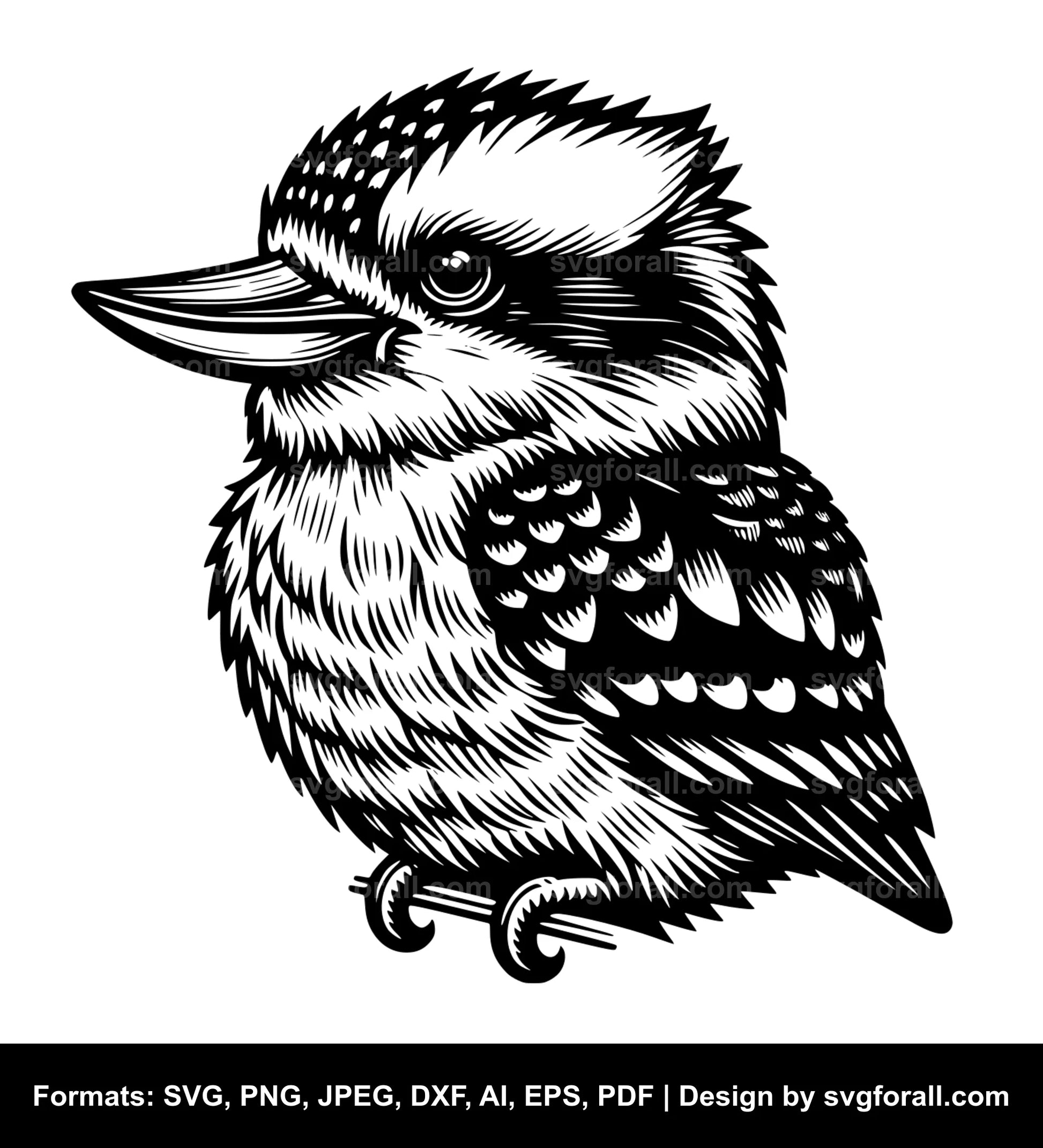 Kookaburra SVG File