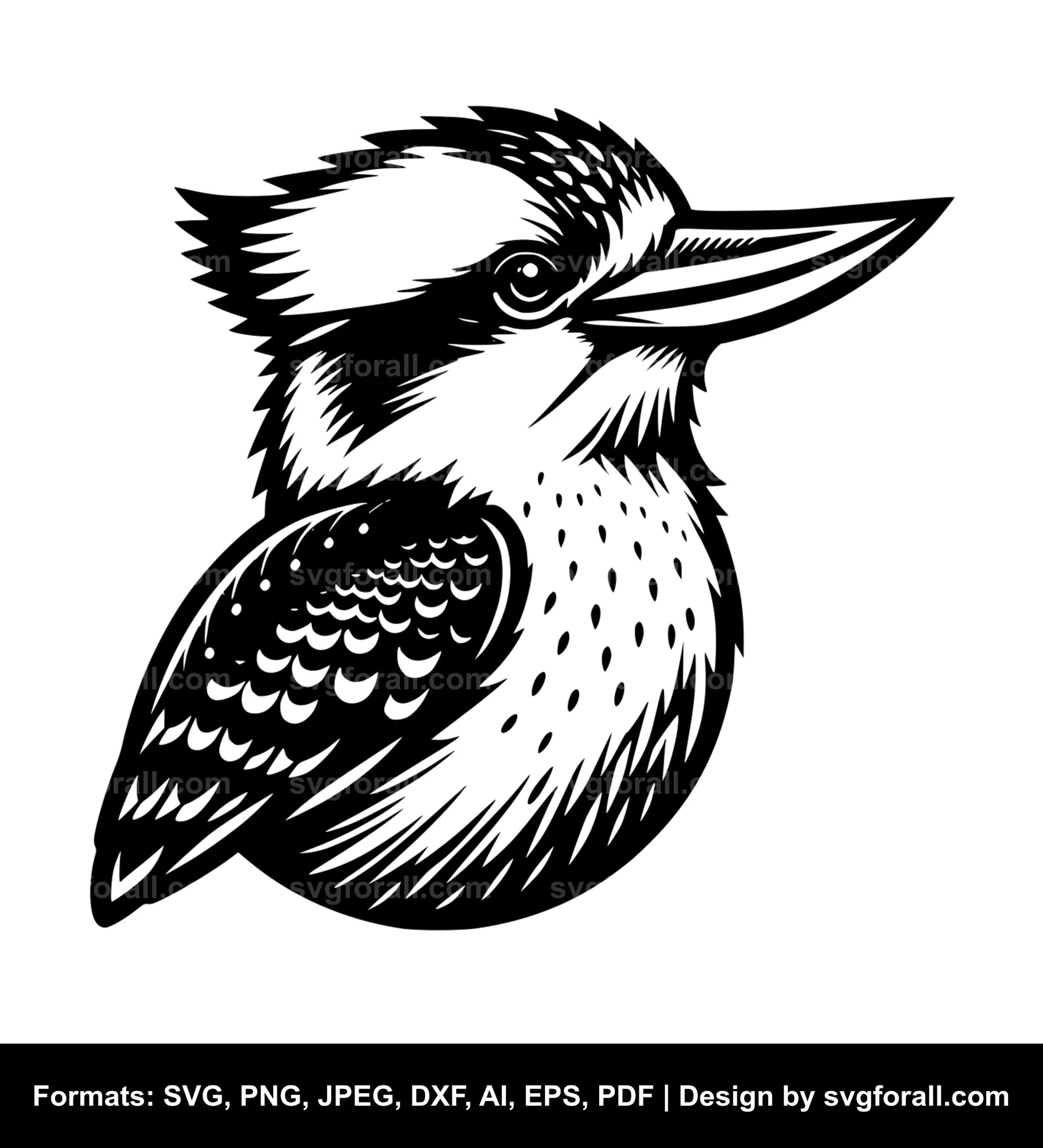 Kookaburra Vector SVG