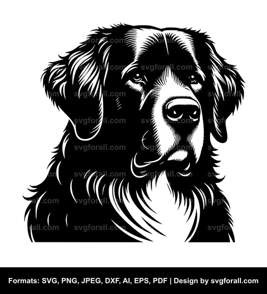 Kuvasz Dog Black SVG