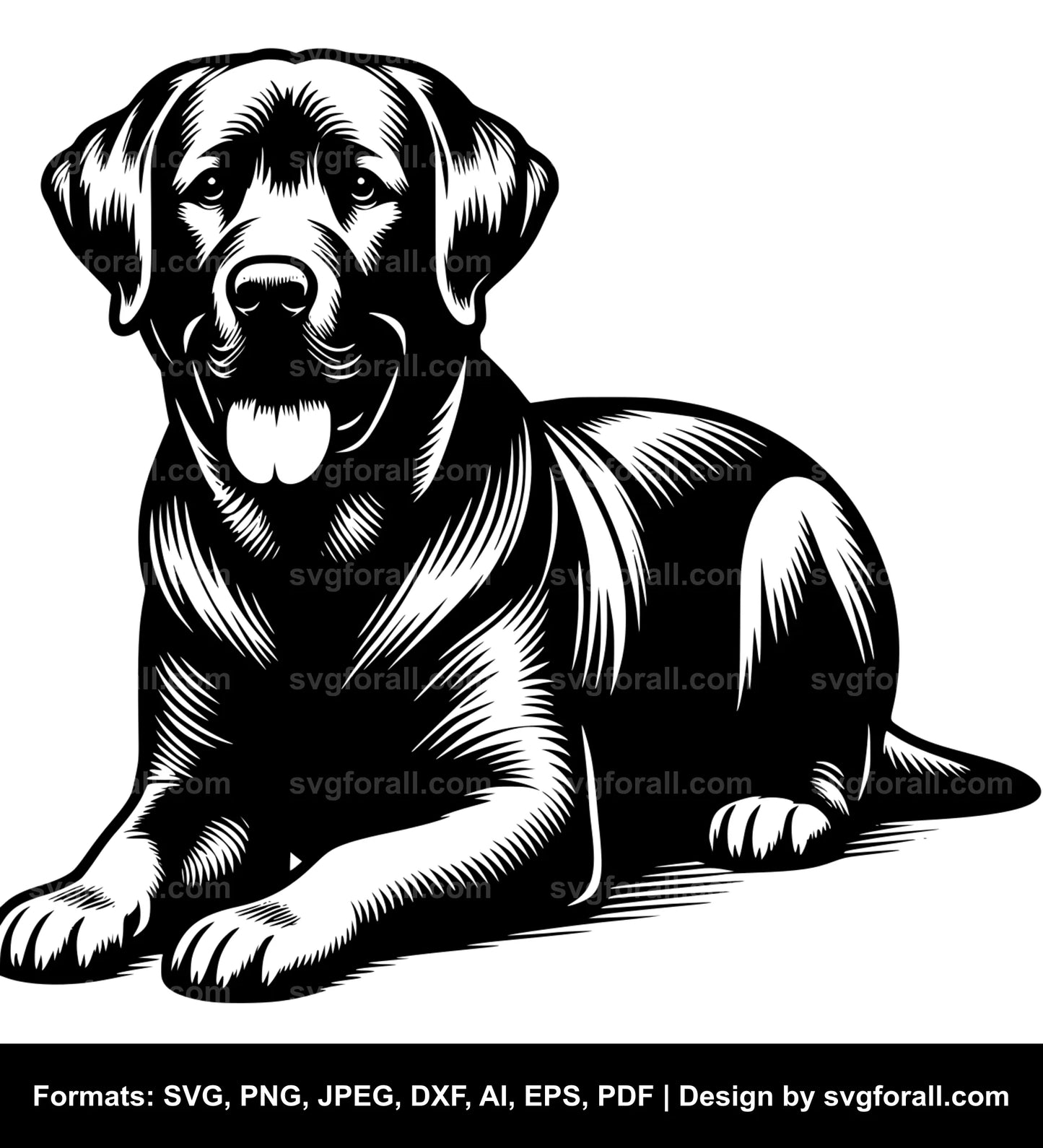 Labrador Retriever Dog SVG PNG